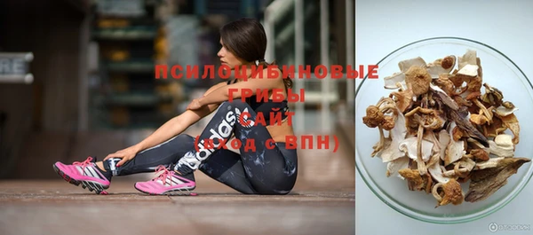 герыч Алзамай