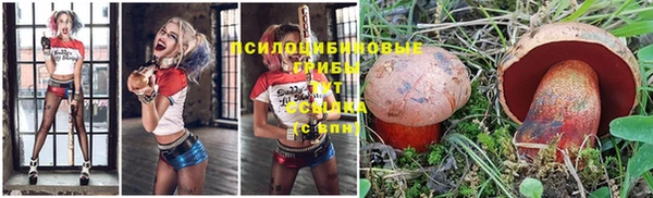 гидра Абдулино