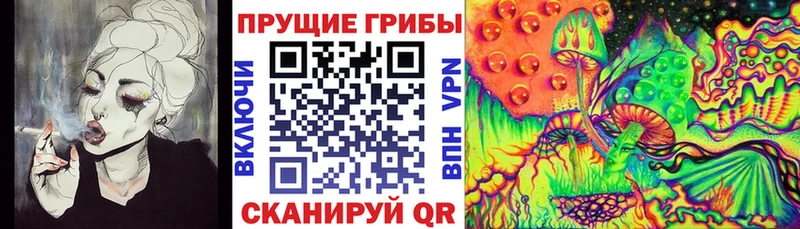 Галлюциногенные грибы Psilocybe наркотики Казань
